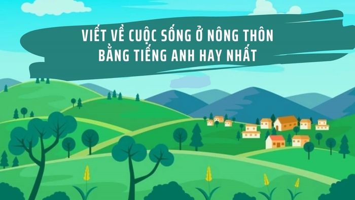 Hình ảnh minh họa chân thực (Nguồn: Internet)