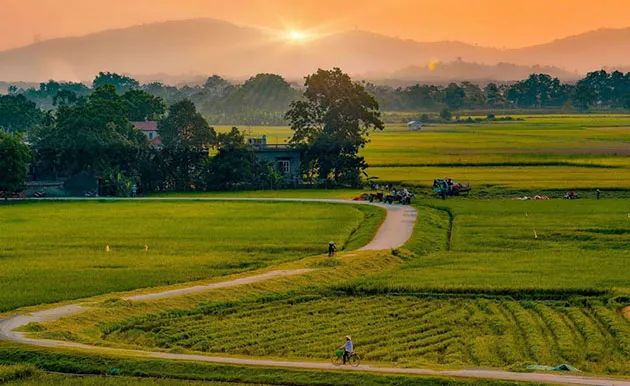 Ảnh minh họa (Nguồn internet) ảnh 1