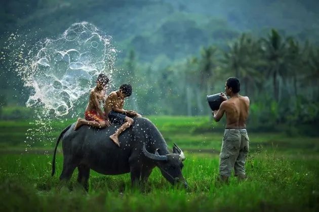 Ảnh minh họa (Nguồn internet) - ảnh 1