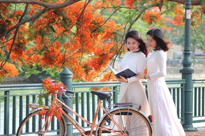 Hình ảnh minh họa tuyệt đẹp (Nguồn: Internet)