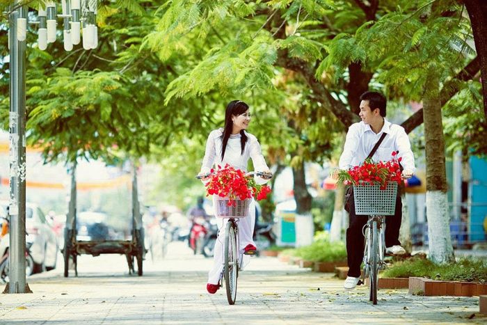 Hình ảnh minh họa sống động (Nguồn: Internet)