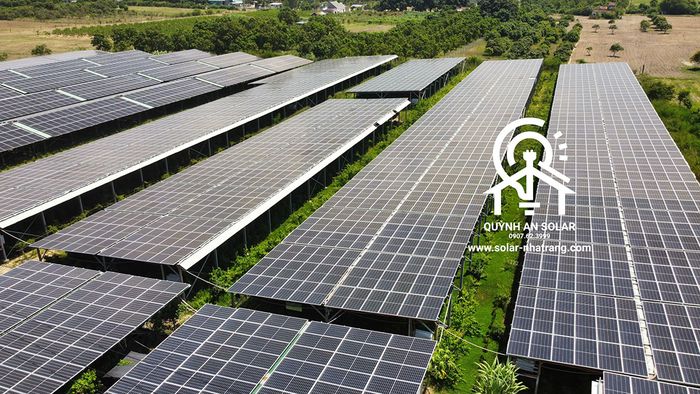 Hình Ảnh Điện Mặt Trời Quỳnh An Solar 2