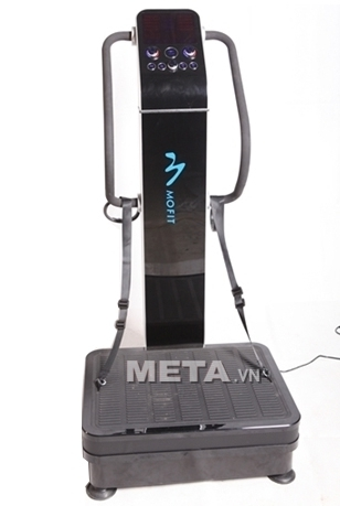 Máy rung toàn thân Mofit MJ006D