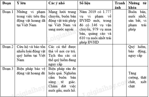 Bộ sưu tập hình ảnh minh họa đặc sắc (Nguồn: internet)