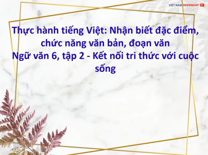 Ảnh Minh Họa (Nguồn Từ Internet) Ảnh 2