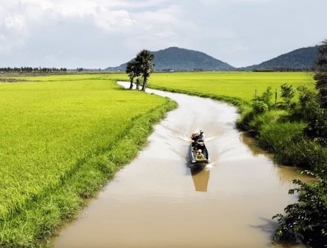 Bộ sưu tập hình ảnh đặc sắc về làng quê Việt Nam (Nguồn: Tổng hợp)