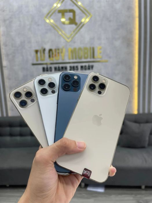 Tứ Quý Mobile - Hình ảnh 3