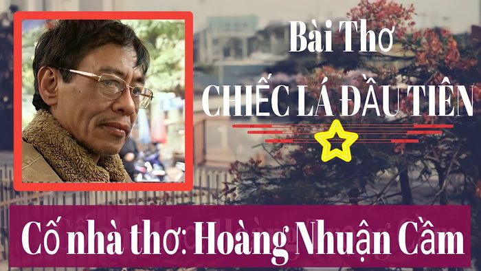 <i>Hình ảnh minh họa số 3 - Tham khảo từ kho dữ liệu hình ảnh trực tuyến</i>