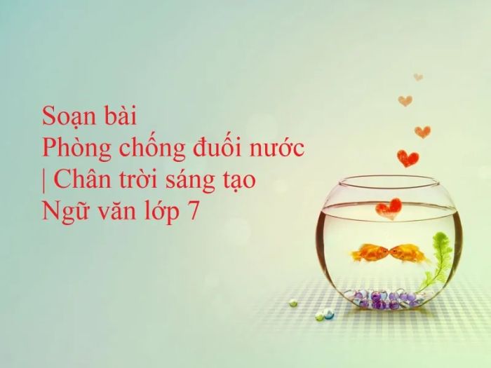<p><em>Nguồn hình ảnh minh họa: Internet</em></p><p style=