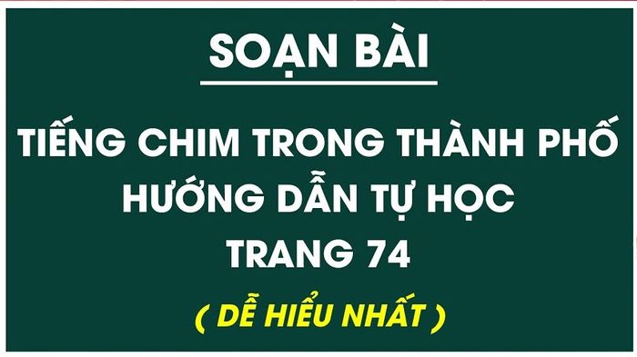 Ảnh minh họa (Nguồn internet) ảnh 1