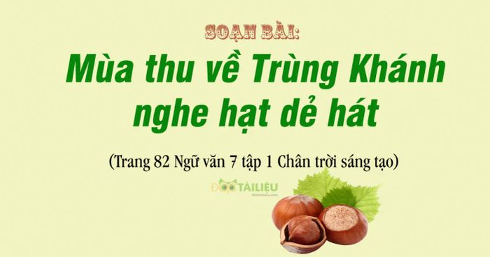Hình minh họa (Nguồn internet) ảnh 1