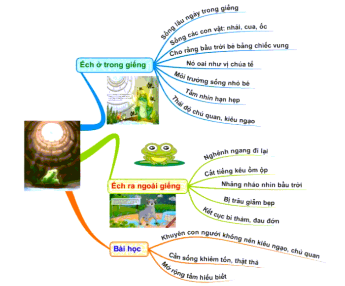 Hình ảnh minh họa sinh động (Nguồn: Internet) - ảnh 1