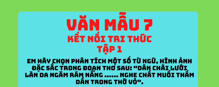 Ảnh minh họa (Nguồn internet) hình ảnh 1