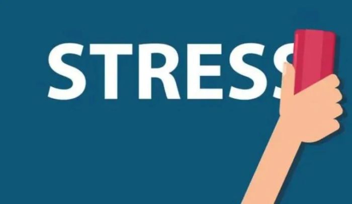 Hình ảnh minh họa về mối quan hệ gia đình (Nguồn: Internet)