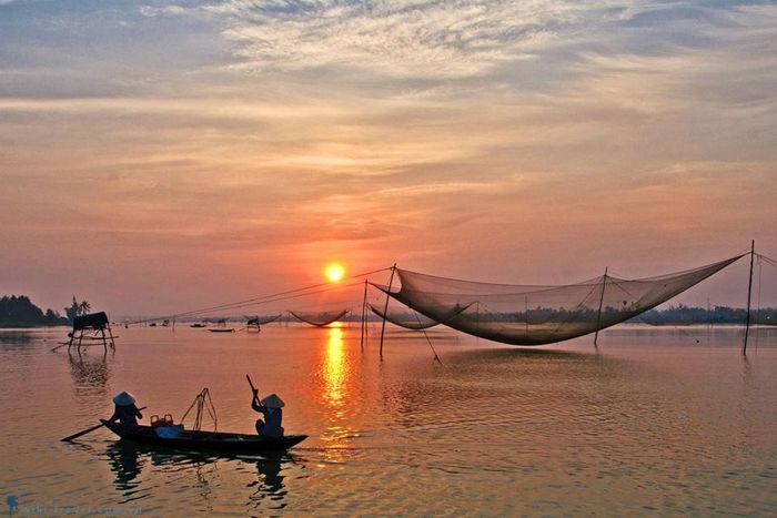 Ảnh minh họa (Nguồn internet) hình ảnh 1