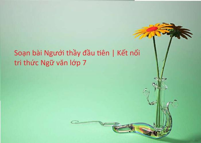 Hình ảnh minh họa sống động (Nguồn: internet)