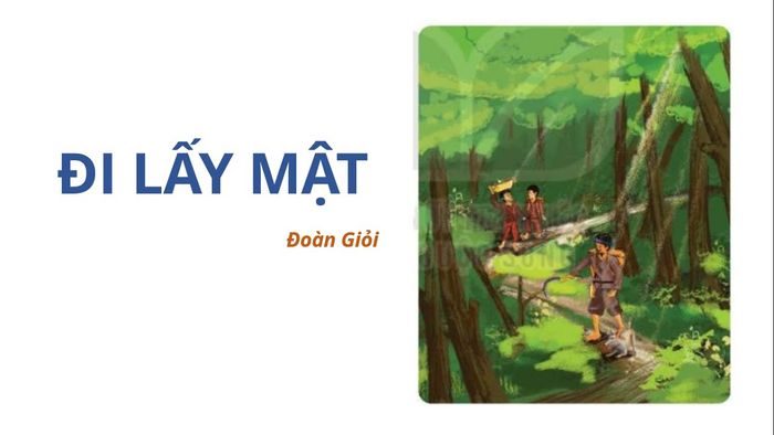 Hình ảnh minh họa (Nguồn: internet)
