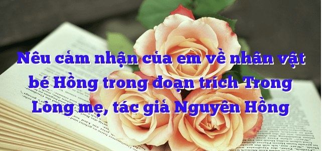 Hình ảnh minh họa số 1 (Nguồn tham khảo: internet)