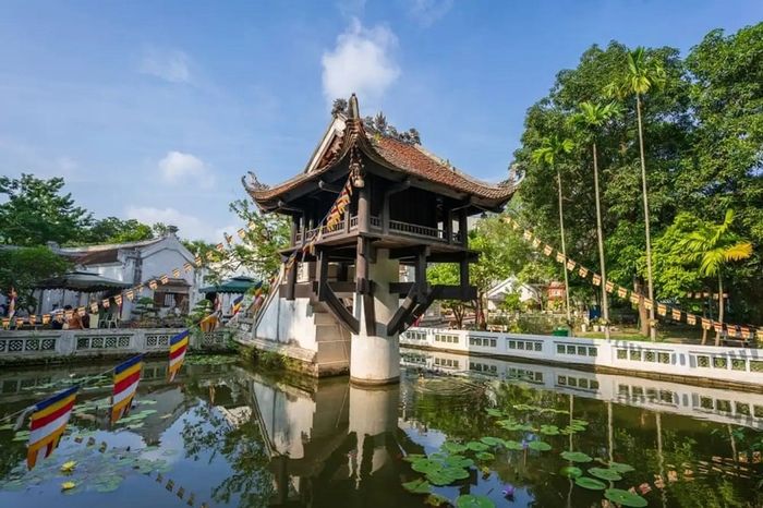 Chùa Một Cột ảnh 1 – Hoa sen đá giữa hồ Linh Chiểu huyền ảo