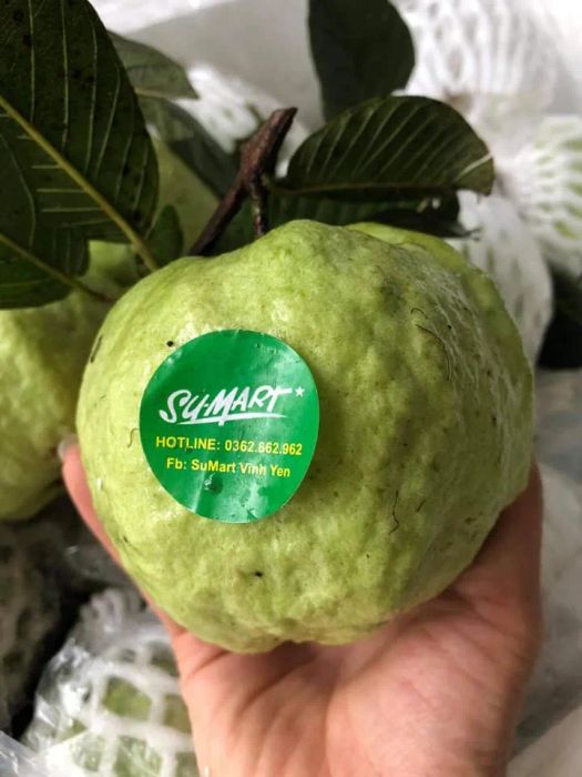Su-Mart Vĩnh Phúc - Hình ảnh sống động về thế giới thực phẩm hữu cơ (Ảnh 3)