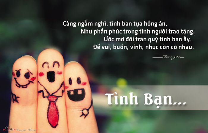 Hình ảnh minh họa tình bạn tri kỷ