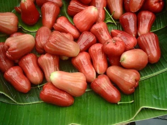 Không gian mua sắm sang trọng tại Phúc Khang Vĩnh Phúc