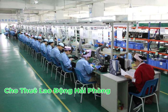 Hình ảnh hoạt động nổi bật của Công ty Kiến Vàng
