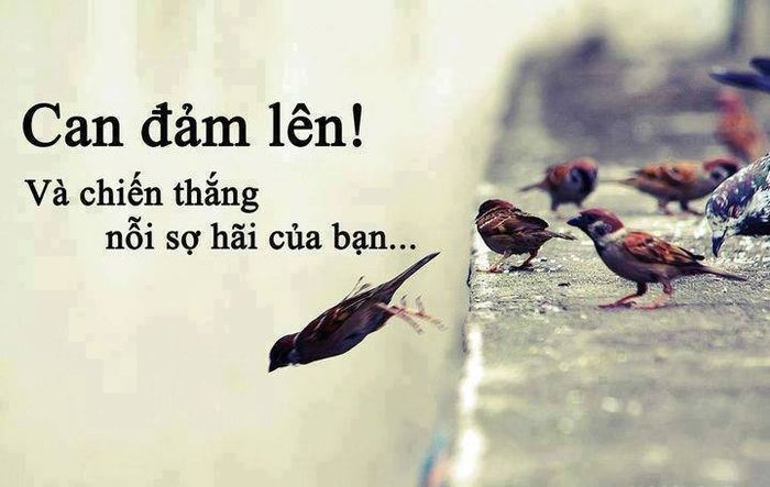 Hình ảnh minh họa sinh động (Nguồn: Internet)
