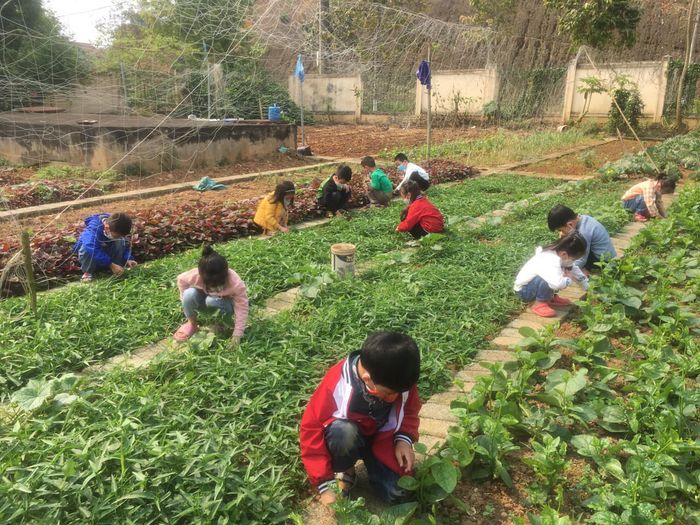 Hình ảnh khu vui chơi ngoài trời tại Trường Mầm non Ánh Hồng