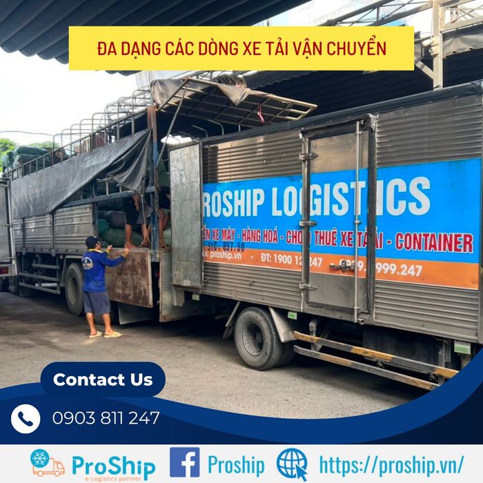 Hình ảnh kho bãi và hệ thống xếp dỡ hàng hóa tại Proship