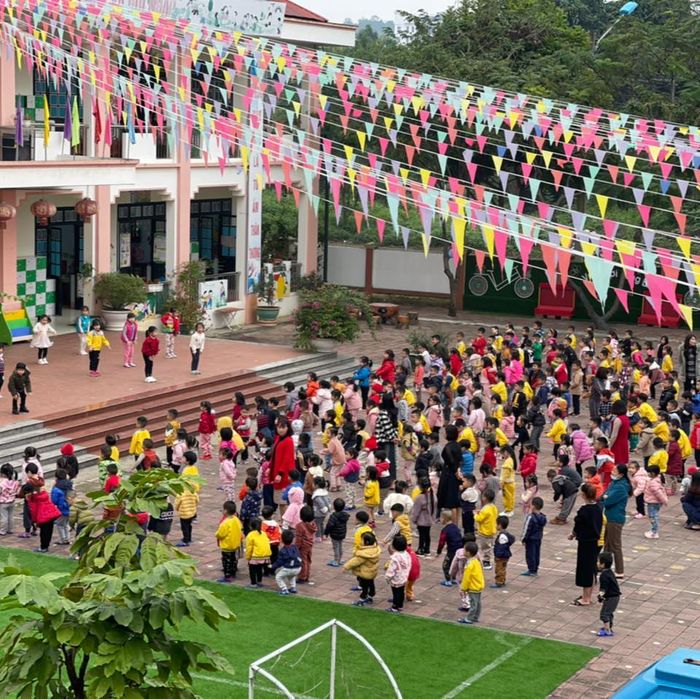 Hình ảnh khuôn viên xanh mát tại Trường Mầm non Nam Cường