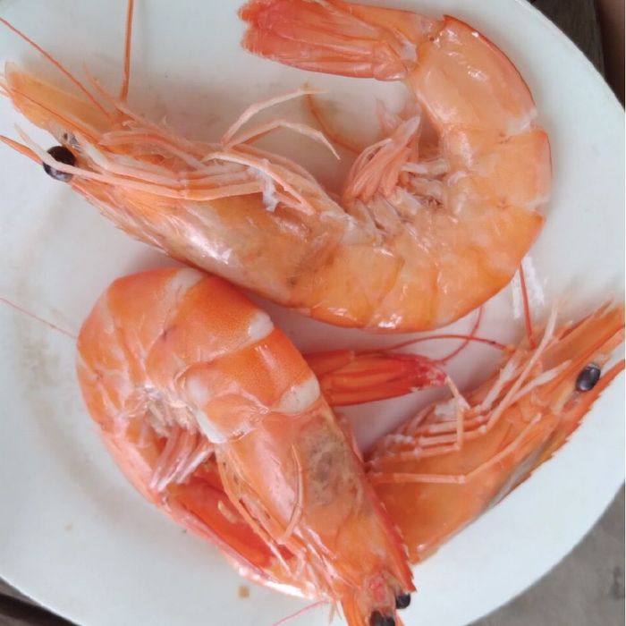 Các sản phẩm tươi ngon tại Ông Điền Food