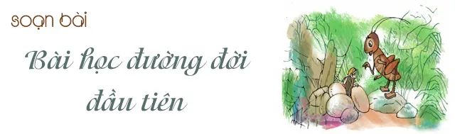 Hình ảnh minh họa số 1 - Tư liệu từ nguồn internet phong phú
