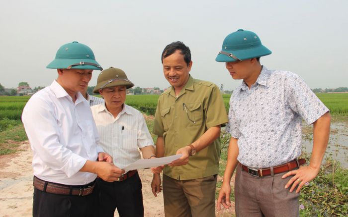 Hình ảnh minh họa (Nguồn: internet)
