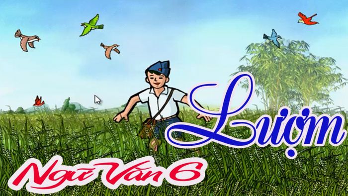 Ảnh minh họa (Nguồn internet) ảnh 1