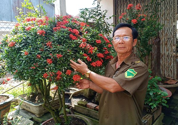 Hình ảnh minh họa (Nguồn: internet)
