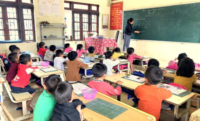 Ảnh minh họa chân thực (Nguồn: Internet)