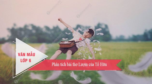 Ảnh minh họa (Nguồn internet) ảnh 1