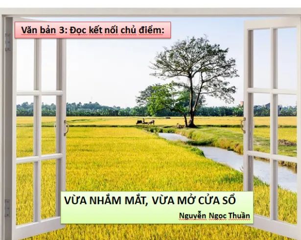Hình ảnh minh họa số 1 (Nguồn: internet)