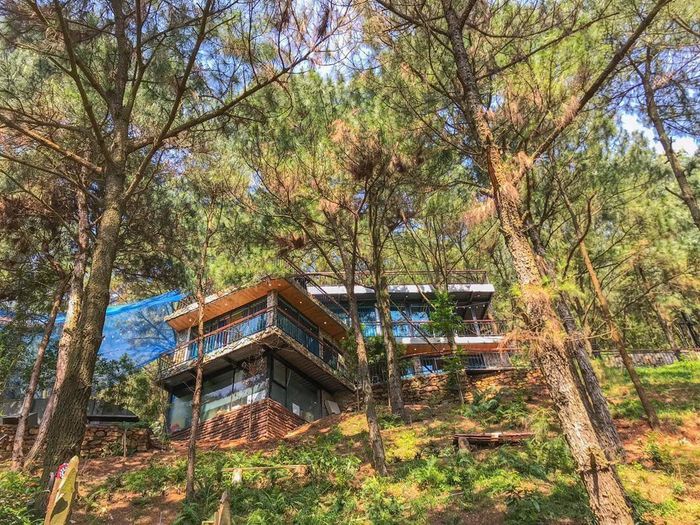 De'bay Villa - Biệt thự 'bay' độc đáo giữa rừng thông