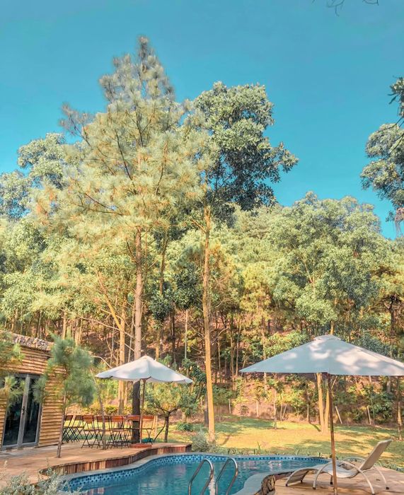 TOA Garden - Bể bơi vô cực hòa mình cùng thiên nhiên