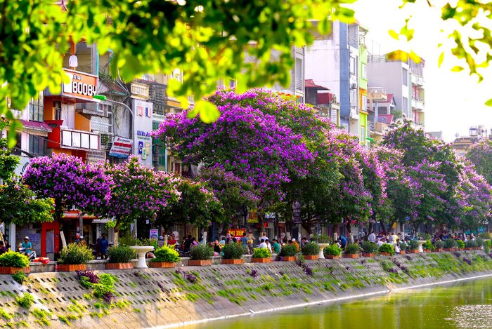 Hình ảnh minh họa (Nguồn: internet) ảnh 5