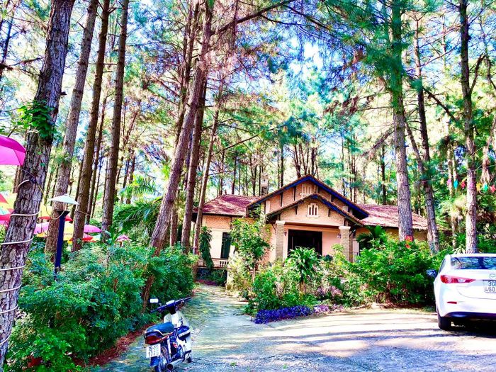Pine Hill Villas & Camping - Biệt thự gỗ thơ mộng giữa rừng thông