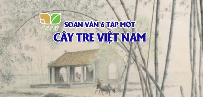 Hình ảnh minh họa sống động về cây tre Việt Nam (Nguồn: Internet)