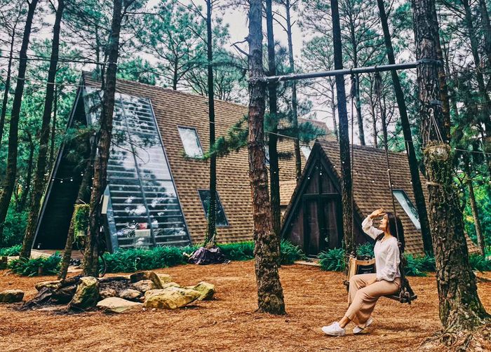 La Pineta - Kiến trúc Bắc Âu giữa rừng thông