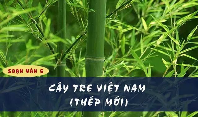 Hình ảnh minh họa sống động về cây tre Việt Nam (Nguồn: internet)