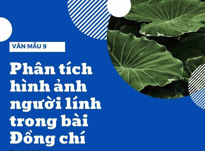 Hình ảnh minh họa số 2 sinh động (Nguồn: Internet)