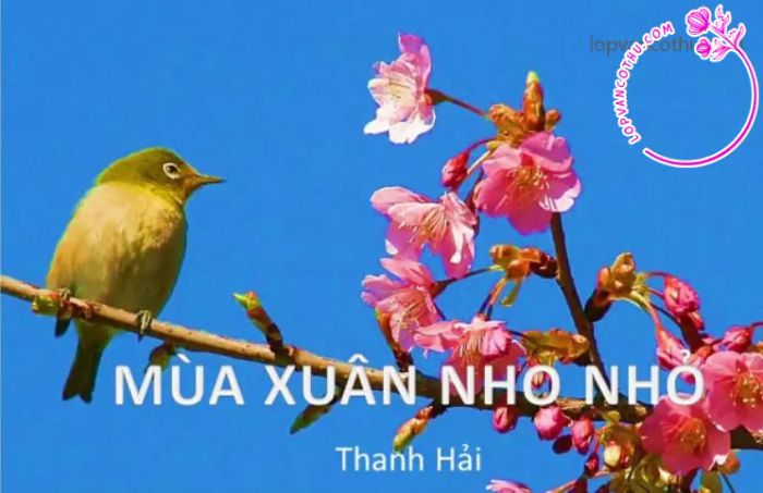 Hình ảnh minh họa sống động (Nguồn: internet) - Ảnh 1