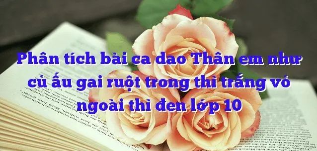 Hình ảnh minh họa số 1: Củ ấu gai - biểu tượng của vẻ đẹp ẩn giấu (Nguồn: Sưu tầm)
