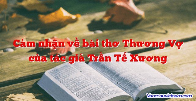 Hình ảnh minh họa sinh động (Nguồn: Internet)